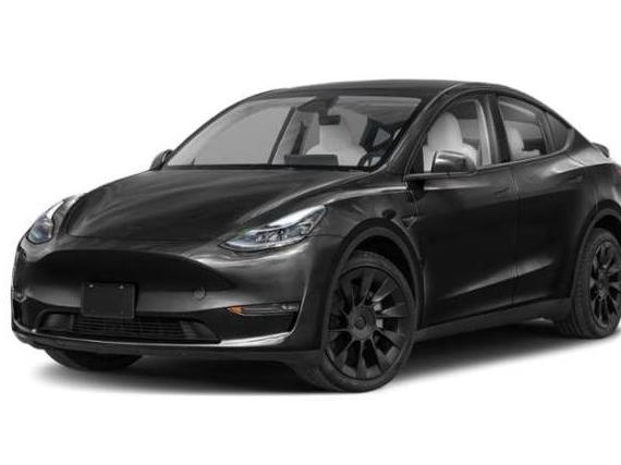 TESLA MODEL Y 2025 7SAYGDEE4SA357650 image
